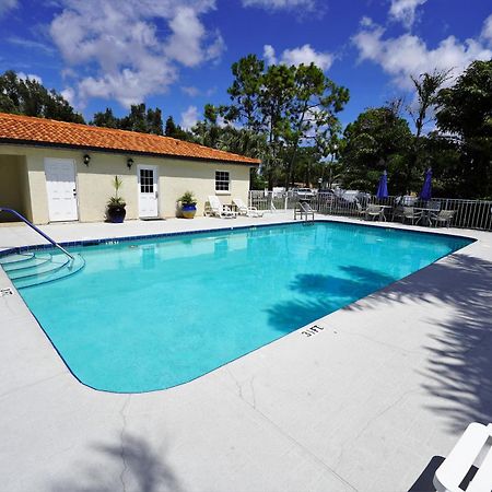 פאלם הרבור Florida Condos On Lake Tarpon מראה חיצוני תמונה