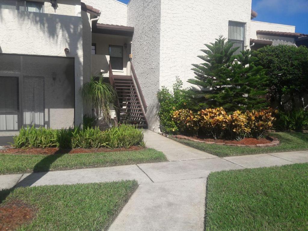 פאלם הרבור Florida Condos On Lake Tarpon מראה חיצוני תמונה