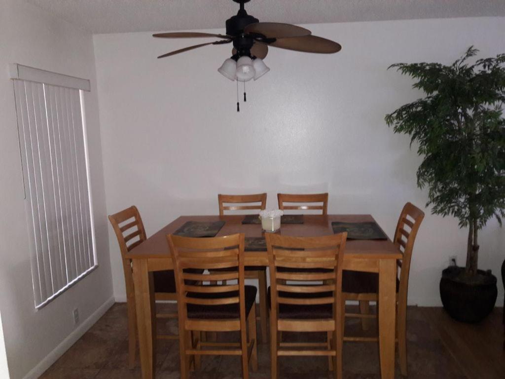 פאלם הרבור Florida Condos On Lake Tarpon מראה חיצוני תמונה