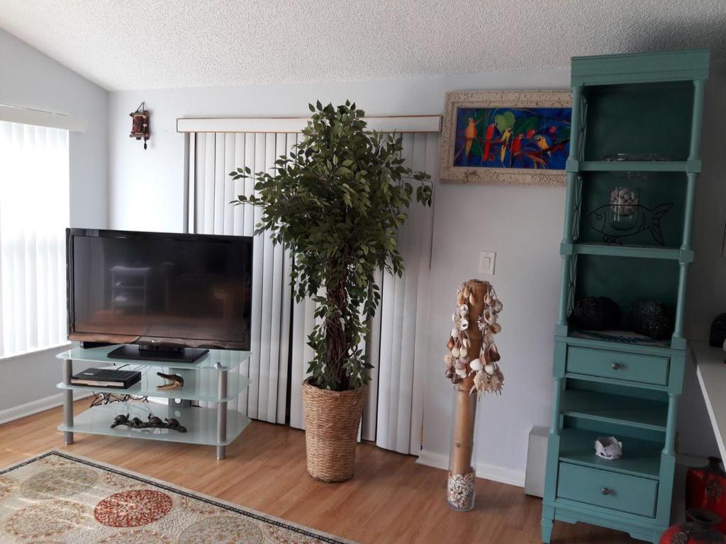 פאלם הרבור Florida Condos On Lake Tarpon מראה חיצוני תמונה