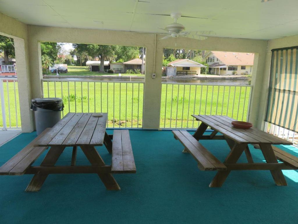 פאלם הרבור Florida Condos On Lake Tarpon מראה חיצוני תמונה