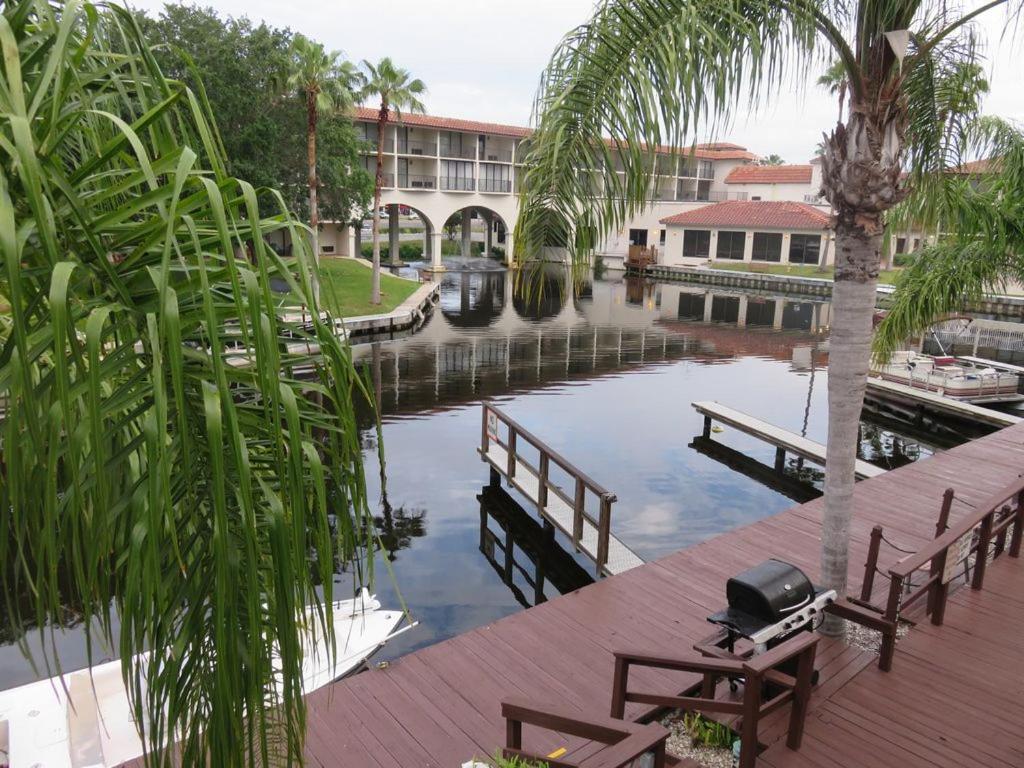 פאלם הרבור Florida Condos On Lake Tarpon מראה חיצוני תמונה