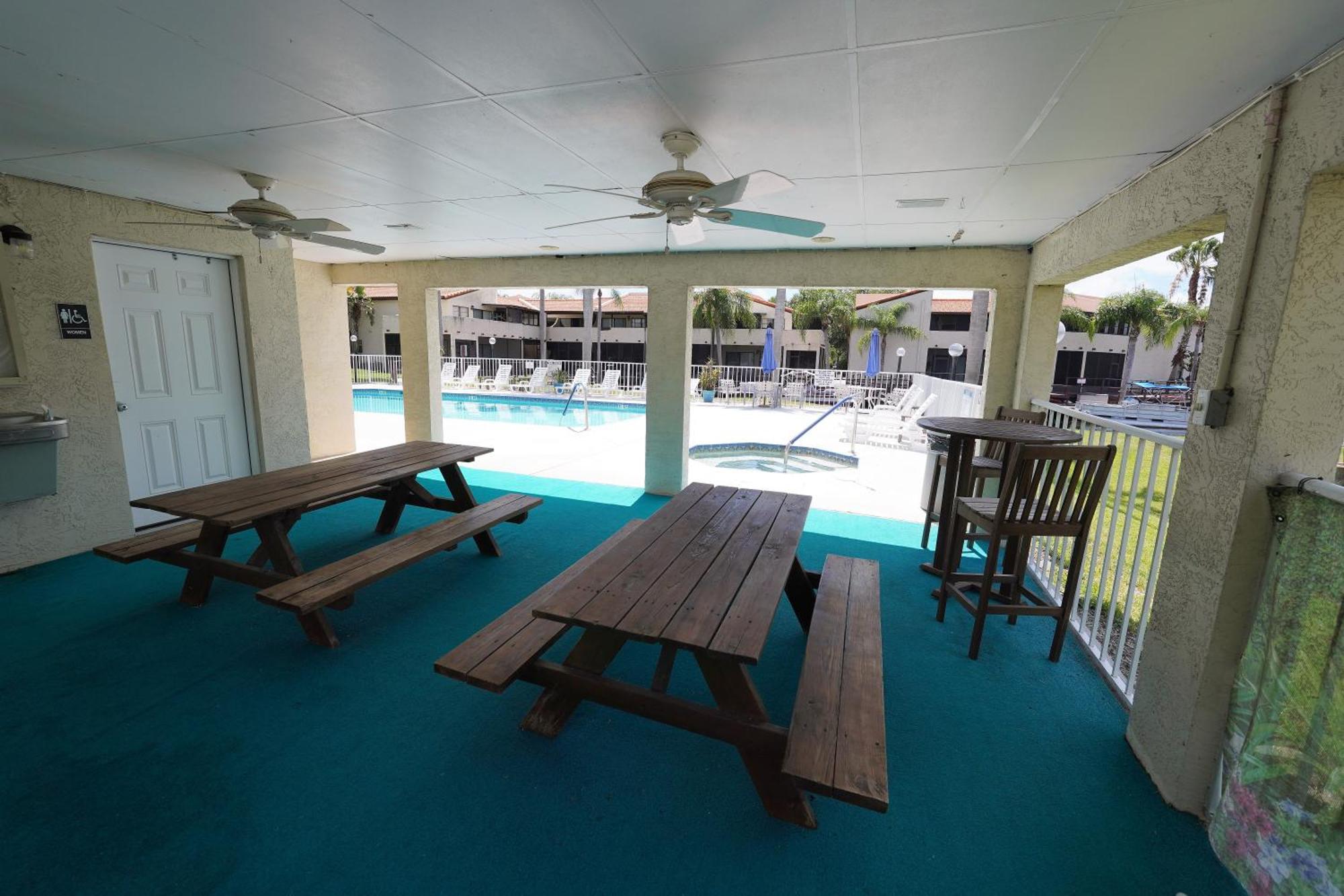 פאלם הרבור Florida Condos On Lake Tarpon מראה חיצוני תמונה