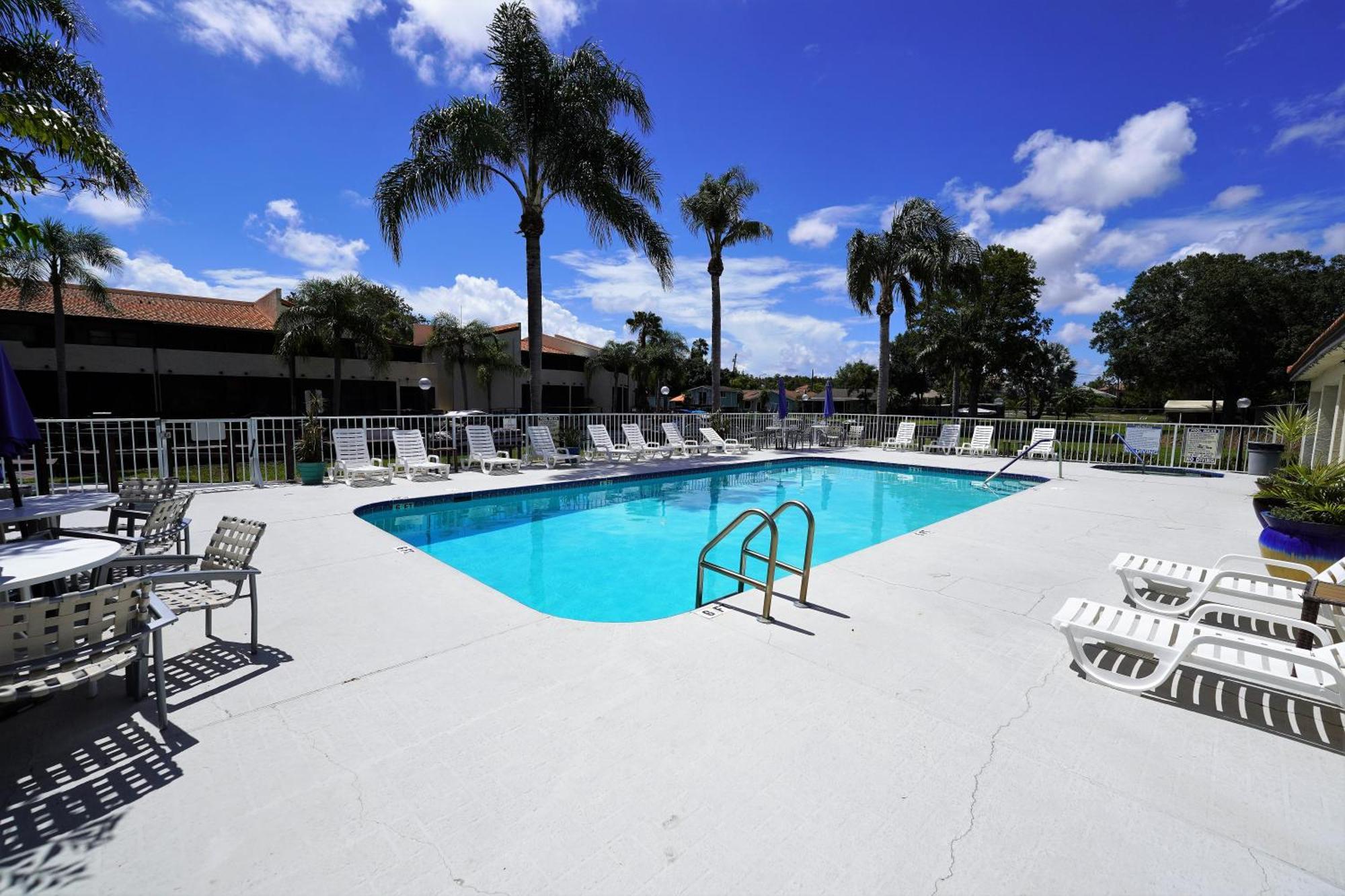 פאלם הרבור Florida Condos On Lake Tarpon מראה חיצוני תמונה