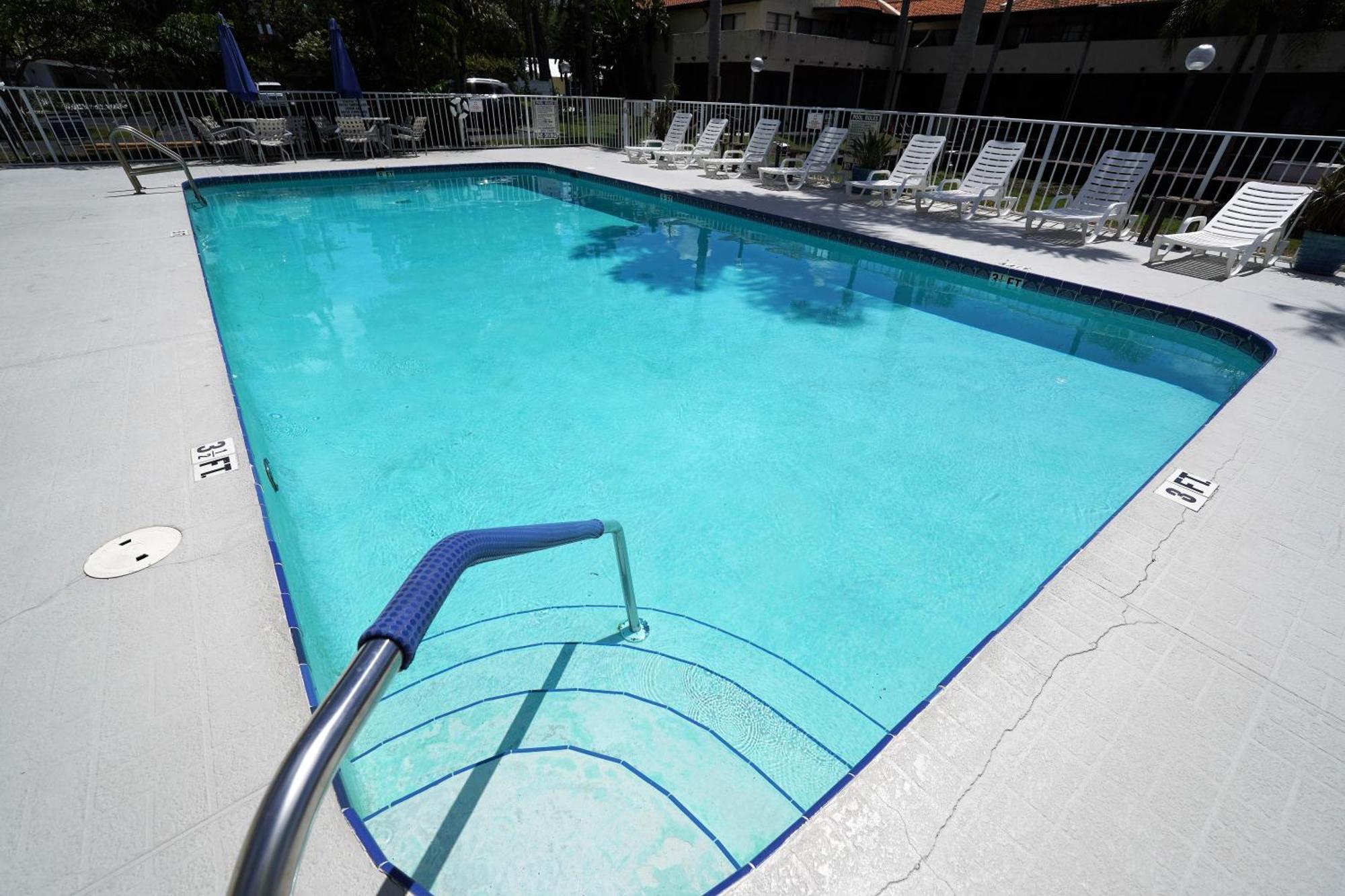 פאלם הרבור Florida Condos On Lake Tarpon מראה חיצוני תמונה