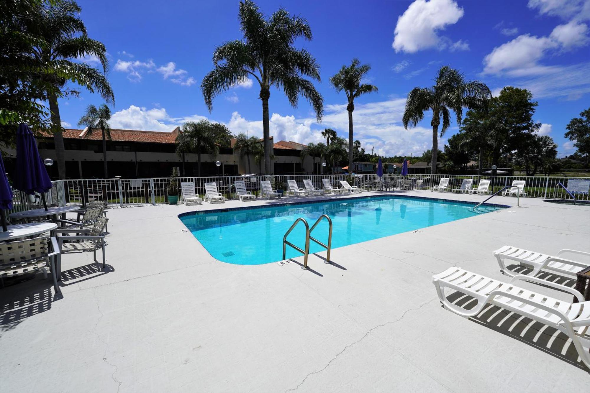 פאלם הרבור Florida Condos On Lake Tarpon מראה חיצוני תמונה