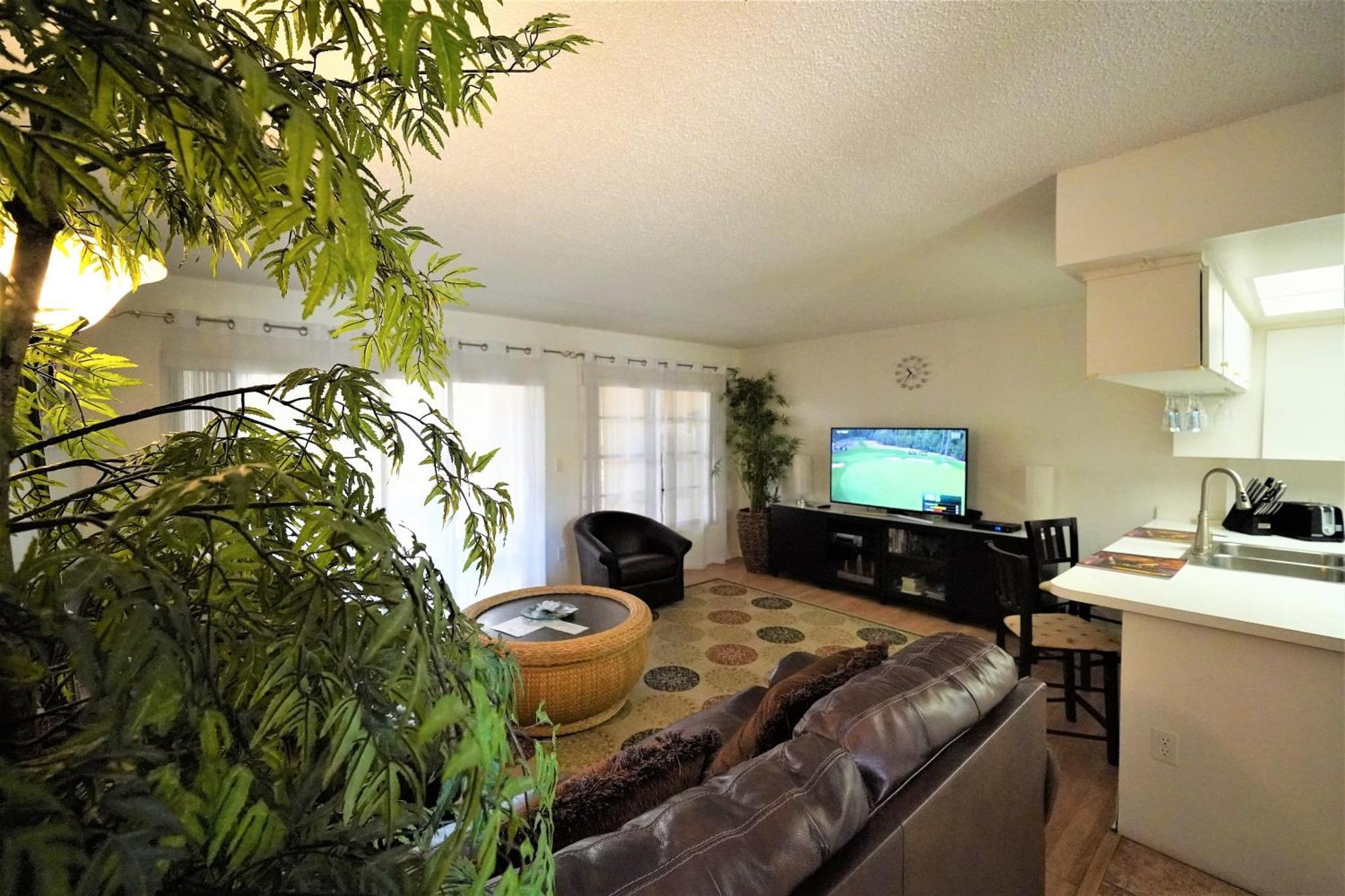פאלם הרבור Florida Condos On Lake Tarpon מראה חיצוני תמונה