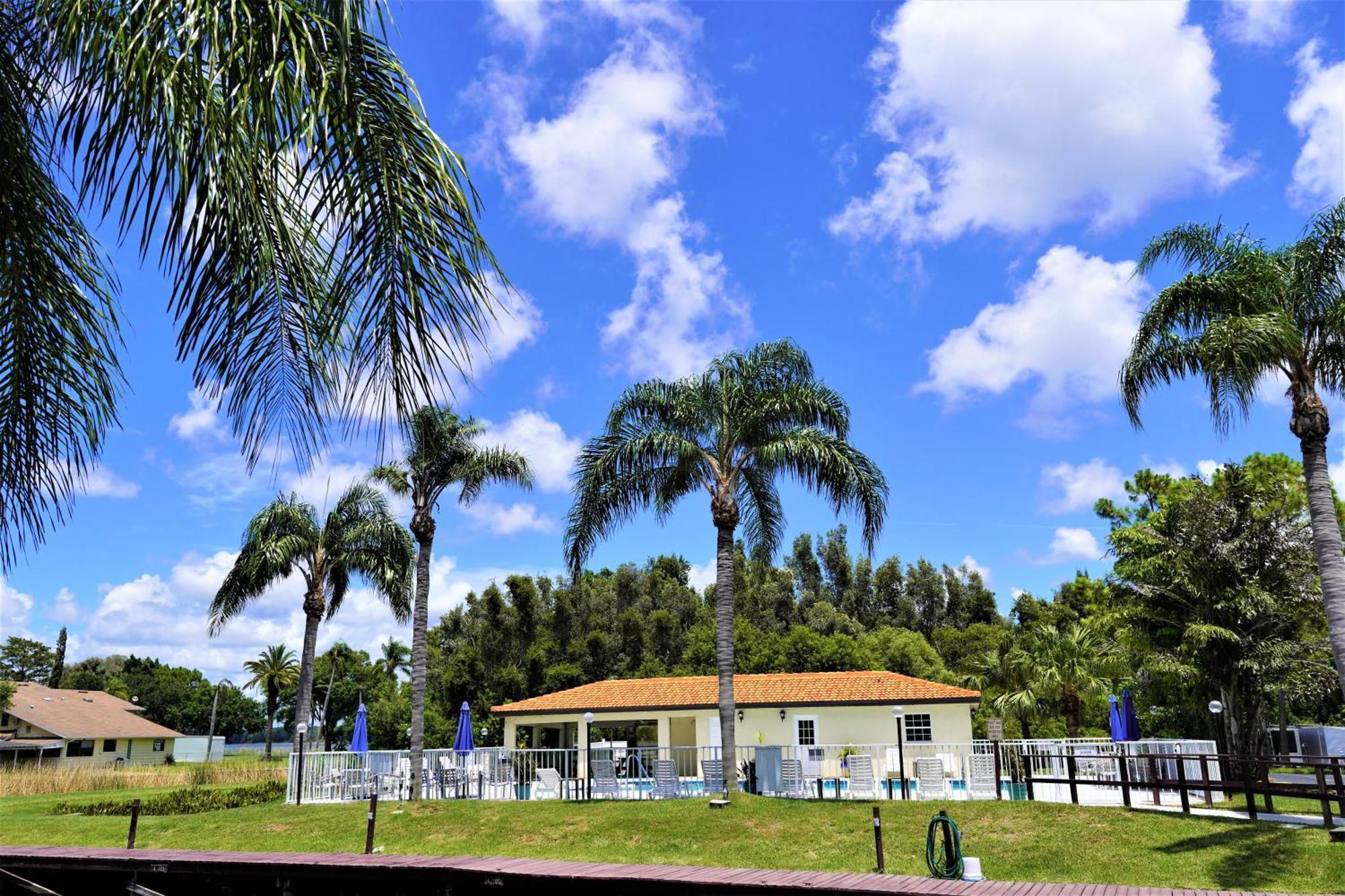 פאלם הרבור Florida Condos On Lake Tarpon מראה חיצוני תמונה